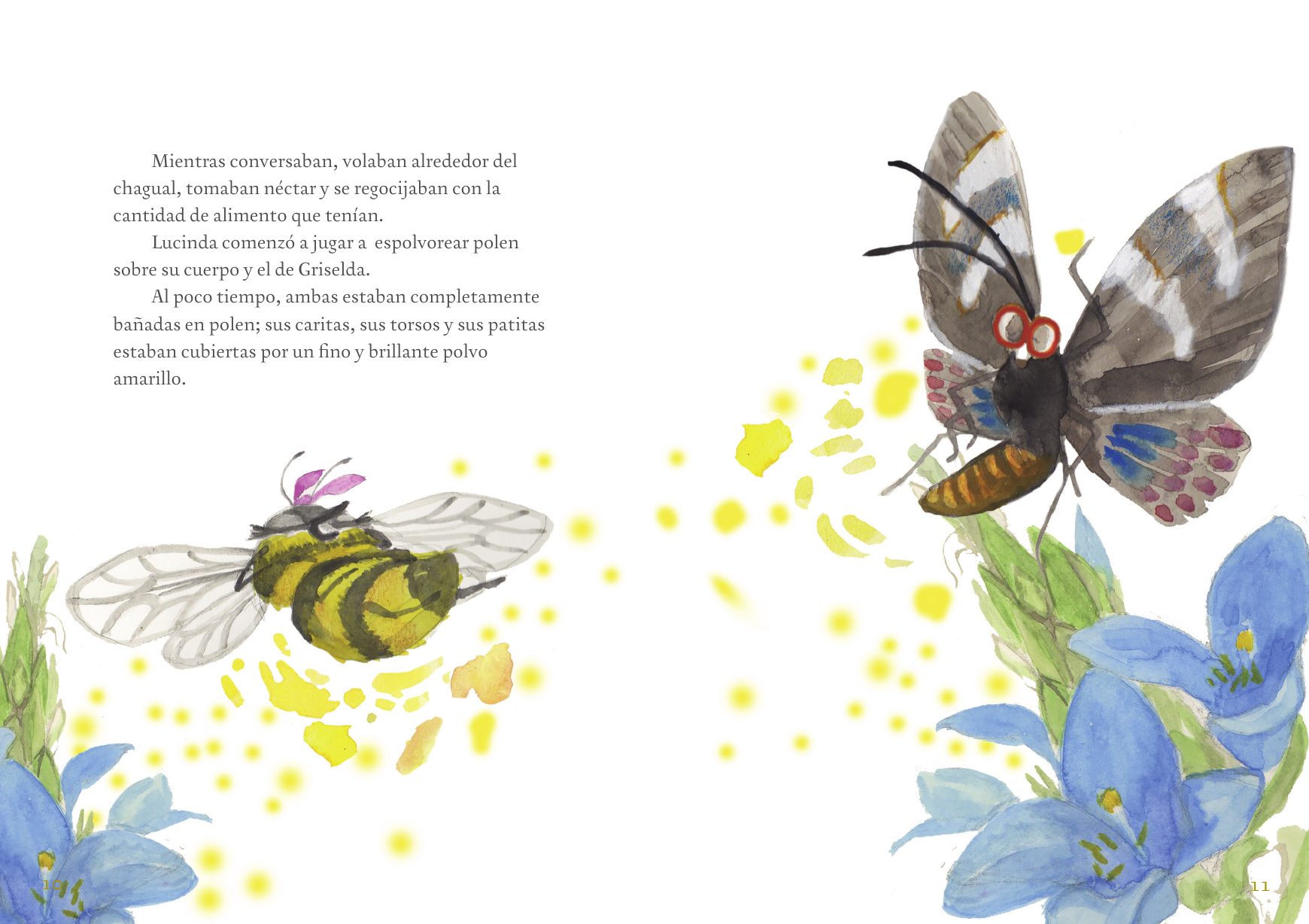 La mariposa del Chagual, interior 1