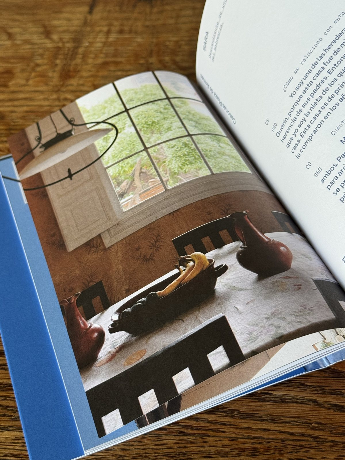 Libro azul de Papudo, páginas interiores