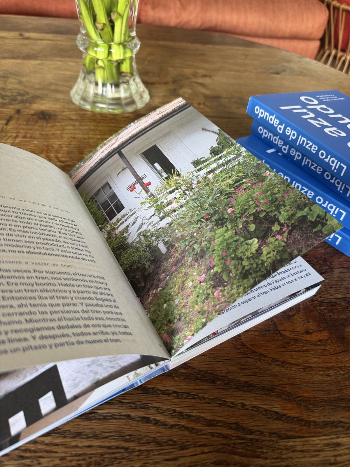 Libro azul de Papudo, páginas interiores