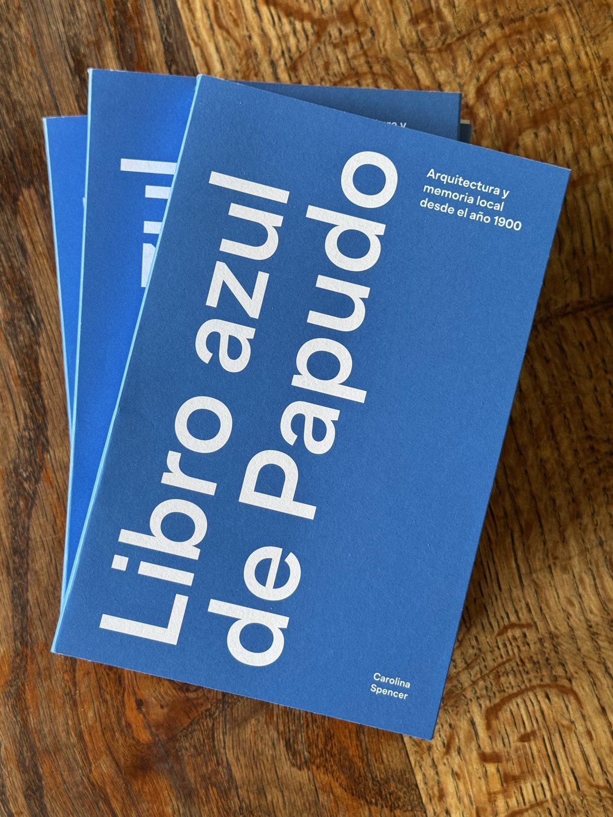 Libro azul de Papudo, portada